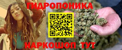 крисы Гусев