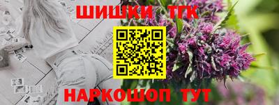 крисы Гусев